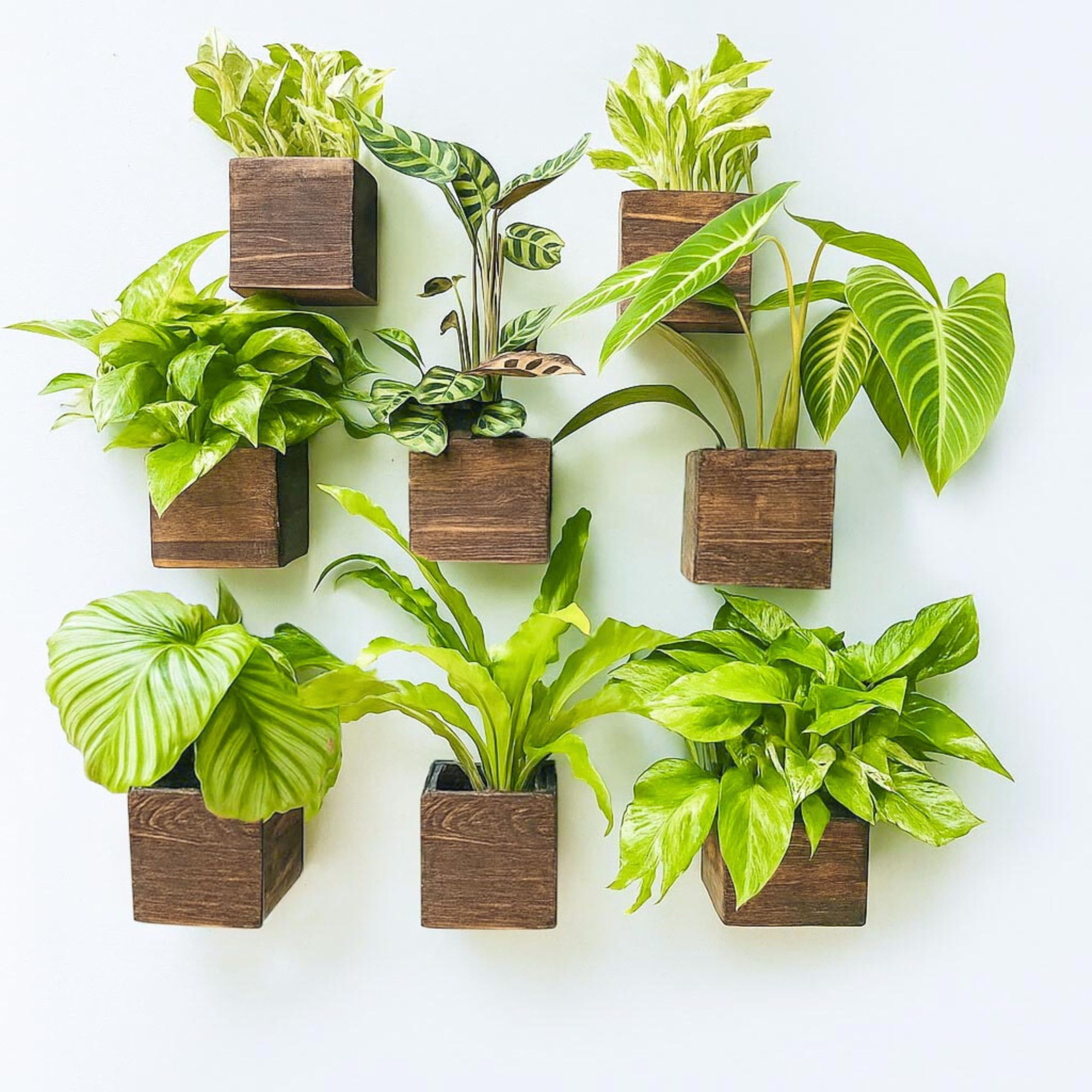 LaLaGreen Wooden Floating Shelves (13-Piece Set) Wall Mounted Plant Shelf, Planter Boxes for Indoor Plants, Decorative Wood Display Shadow Box Kitchen, Bathroom, Bedroom, Living Room, and Home Decor