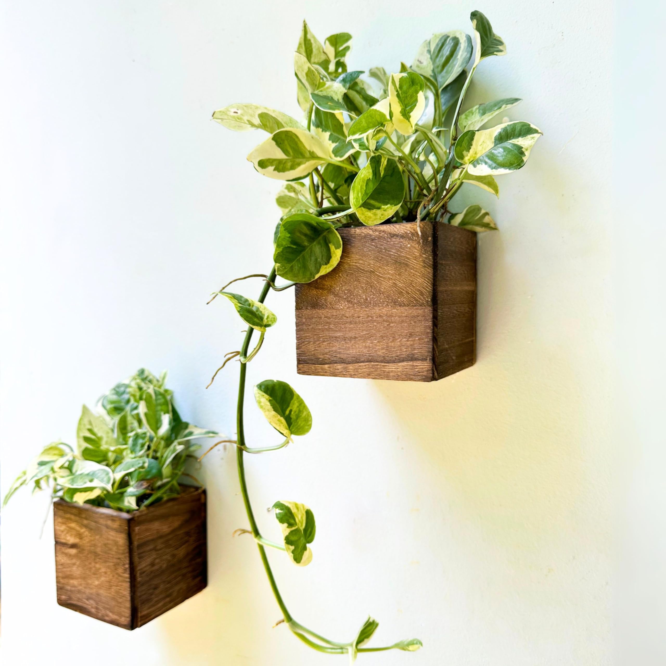 LaLaGreen Wooden Floating Shelves (13-Piece Set) Wall Mounted Plant Shelf, Planter Boxes for Indoor Plants, Decorative Wood Display Shadow Box Kitchen, Bathroom, Bedroom, Living Room, and Home Decor