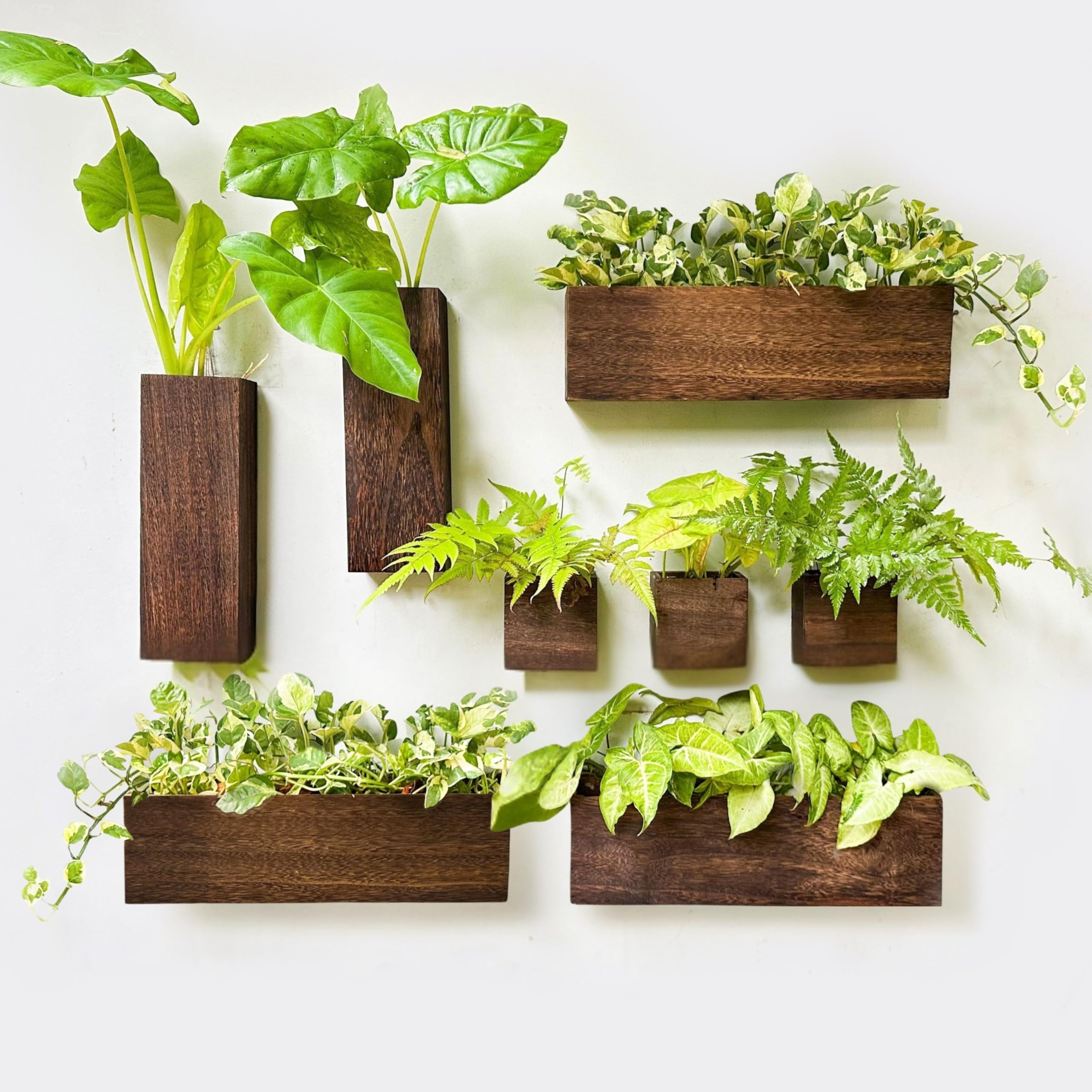 LaLaGreen Wooden Floating Shelves (13-Piece Set) Wall Mounted Plant Shelf, Planter Boxes for Indoor Plants, Decorative Wood Display Shadow Box Kitchen, Bathroom, Bedroom, Living Room, and Home Decor