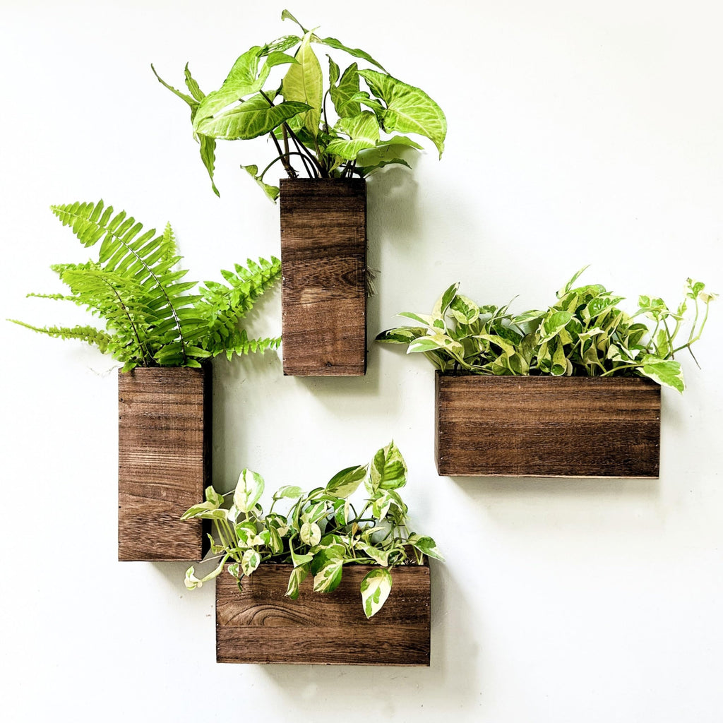 LaLaGreen Wooden Floating Shelves (13-Piece Set) Wall Mounted Plant Shelf, Planter Boxes for Indoor Plants, Decorative Wood Display Shadow Box Kitchen, Bathroom, Bedroom, Living Room, and Home Decor