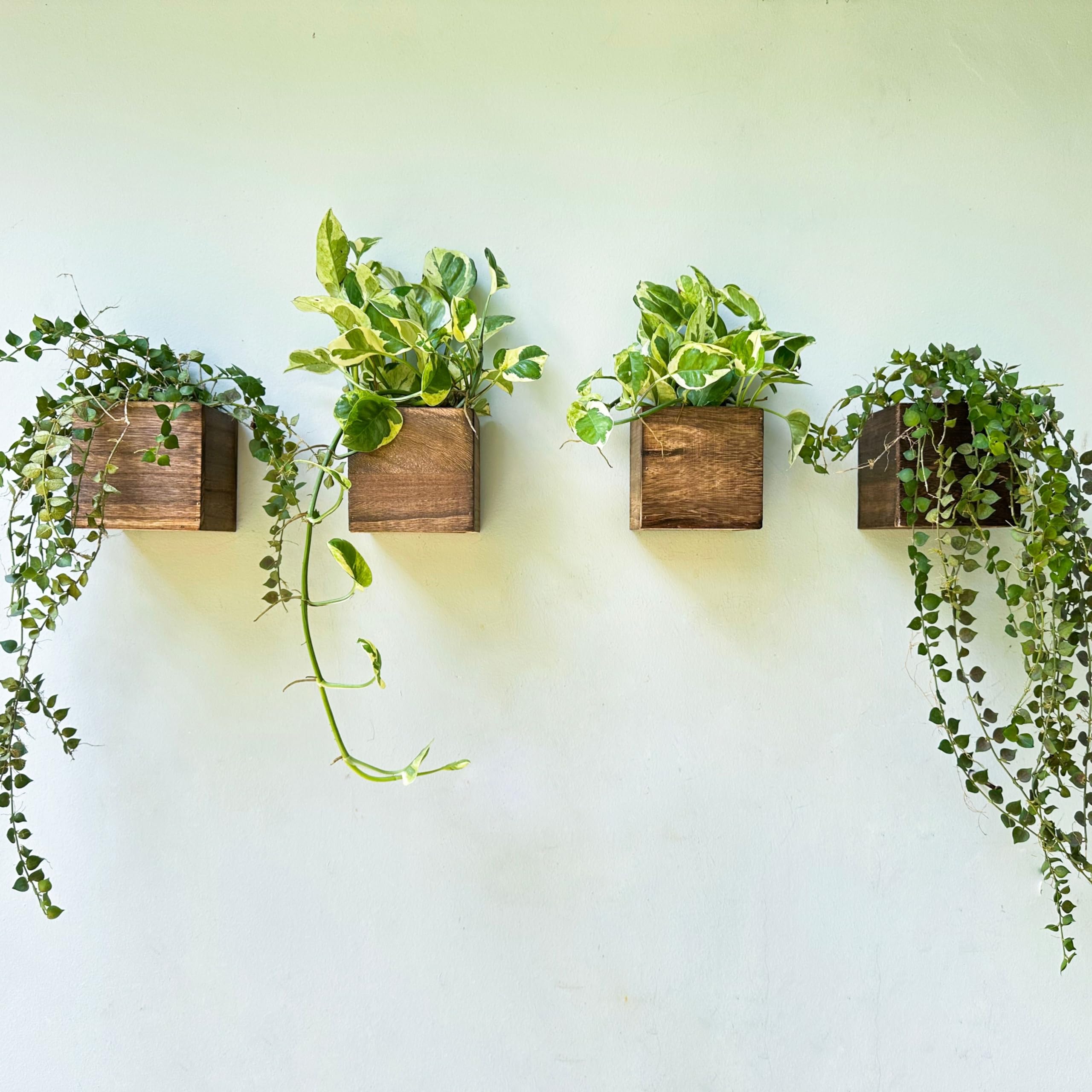 LaLaGreen Wooden Floating Shelves (13-Piece Set) Wall Mounted Plant Shelf, Planter Boxes for Indoor Plants, Decorative Wood Display Shadow Box Kitchen, Bathroom, Bedroom, Living Room, and Home Decor