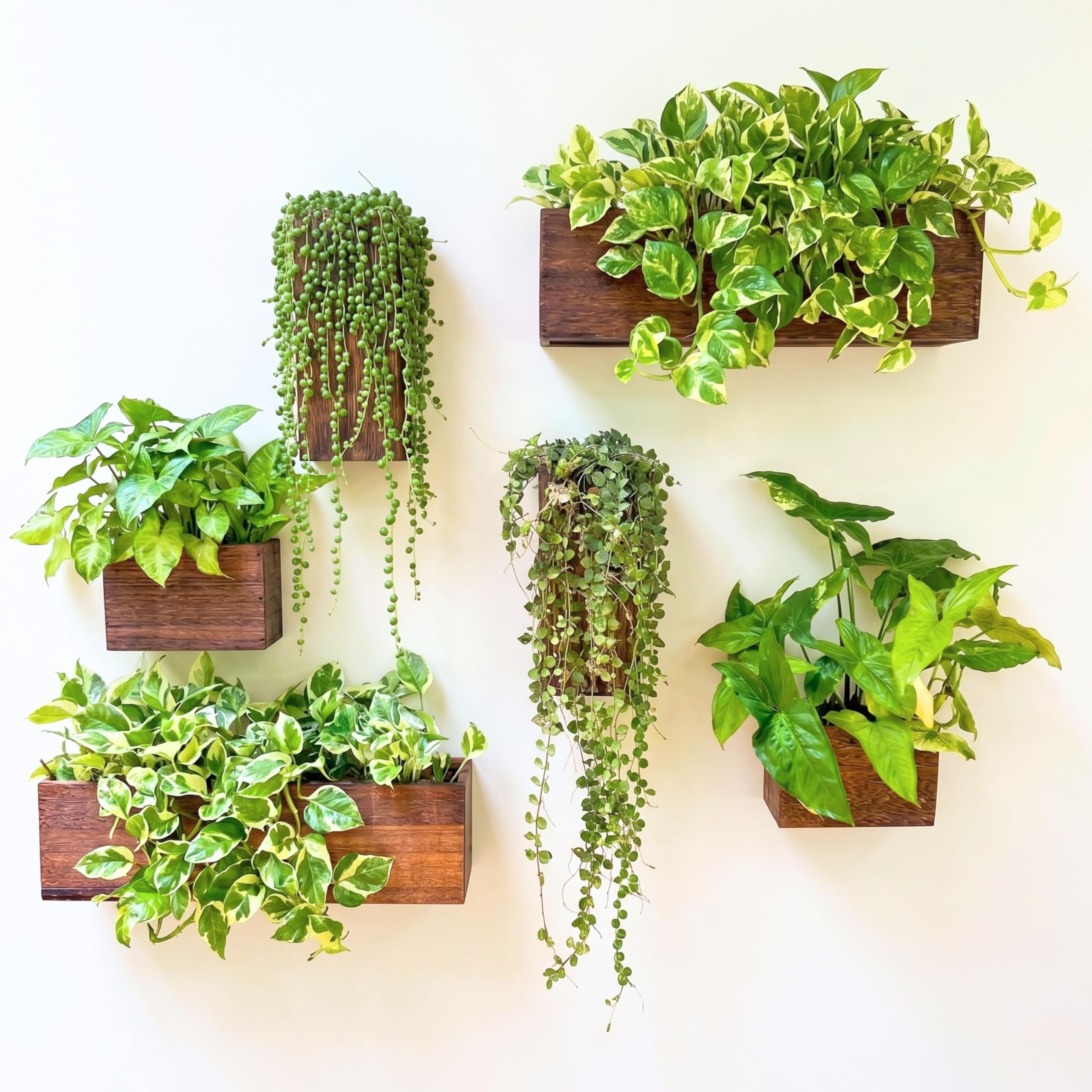 LaLaGreen Wooden Floating Shelves (13-Piece Set) Wall Mounted Plant Shelf, Planter Boxes for Indoor Plants, Decorative Wood Display Shadow Box Kitchen, Bathroom, Bedroom, Living Room, and Home Decor