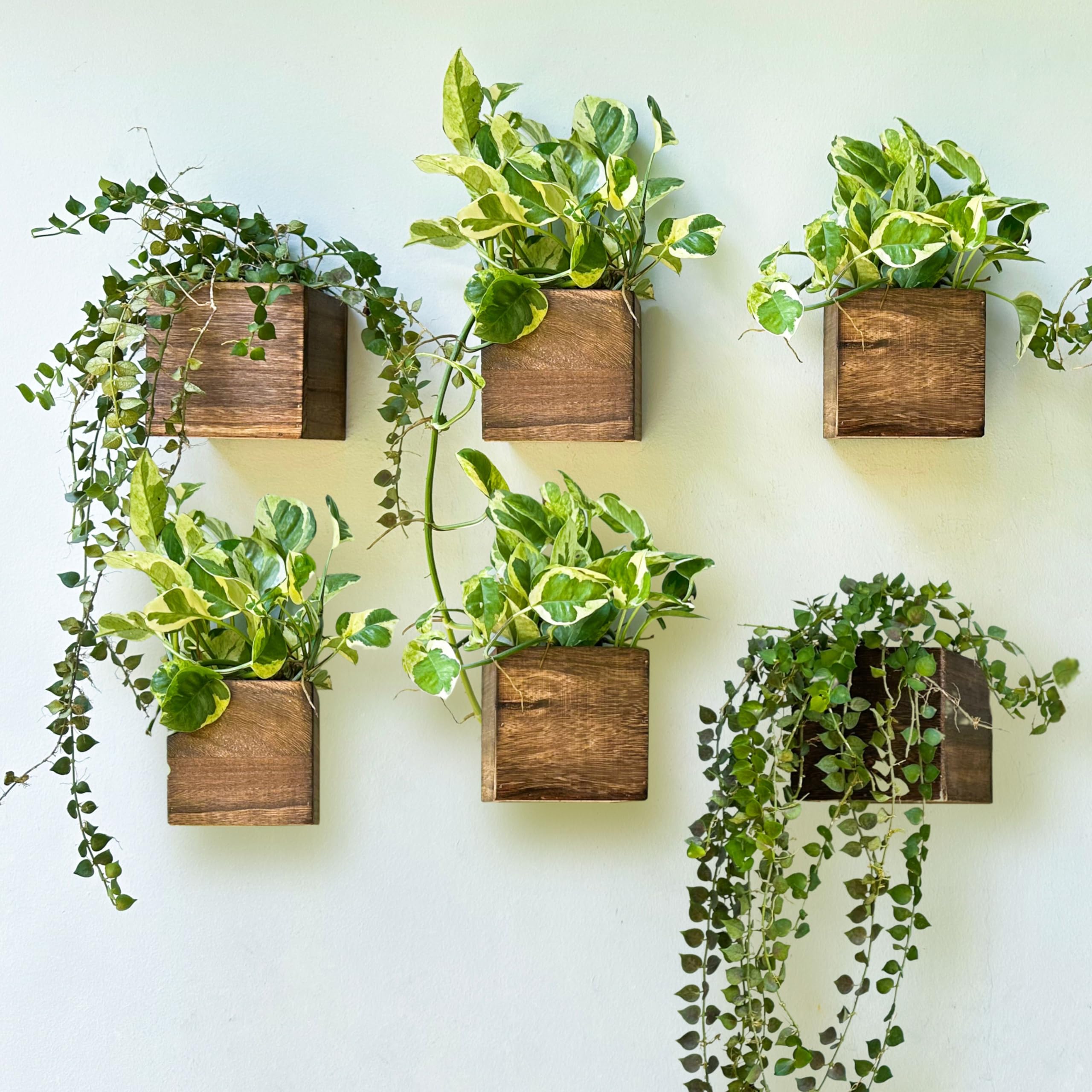 LaLaGreen Wooden Floating Shelves (13-Piece Set) Wall Mounted Plant Shelf, Planter Boxes for Indoor Plants, Decorative Wood Display Shadow Box Kitchen, Bathroom, Bedroom, Living Room, and Home Decor