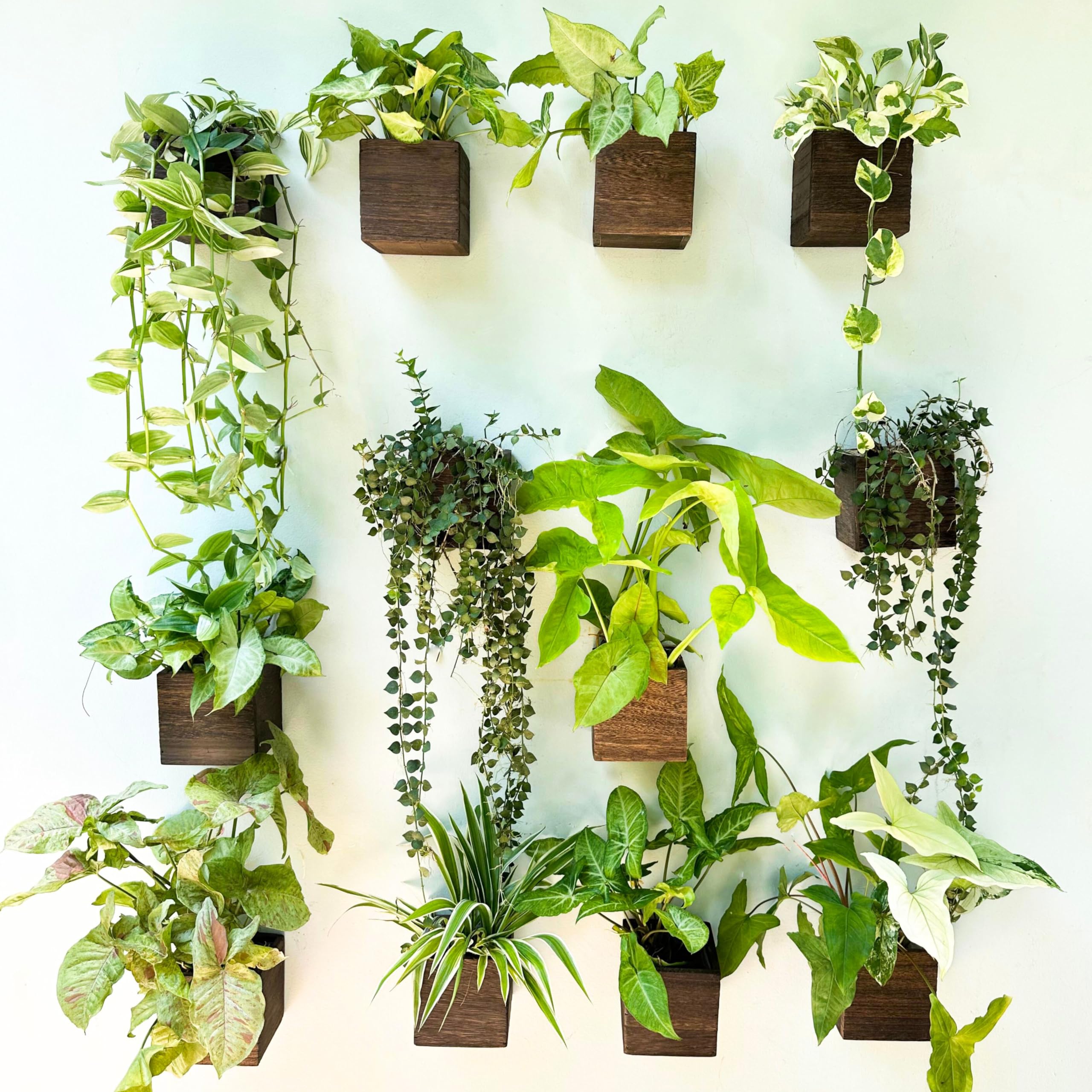 LaLaGreen Wooden Floating Shelves (13-Piece Set) Wall Mounted Plant Shelf, Planter Boxes for Indoor Plants, Decorative Wood Display Shadow Box Kitchen, Bathroom, Bedroom, Living Room, and Home Decor
